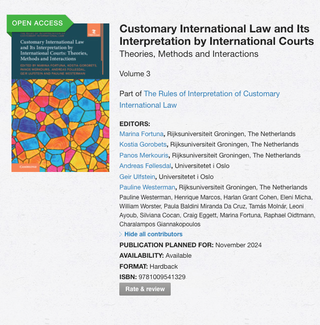 Book Chapter on Customary International&nbsp;Law